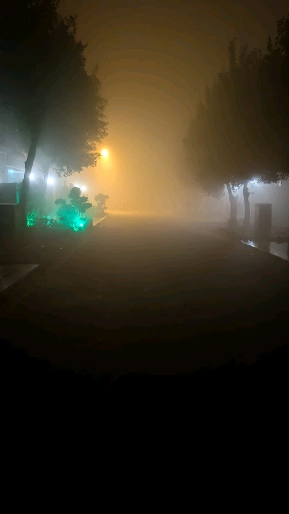 GIF uploaded by N 🤷🏻