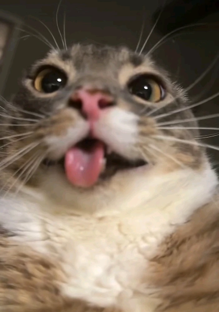 GIF enviado por Samuel