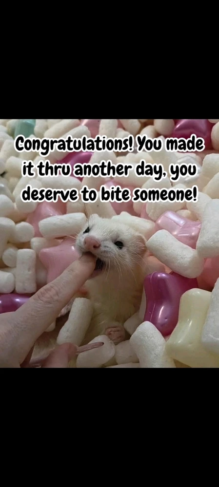 GIF uploaded by Sara