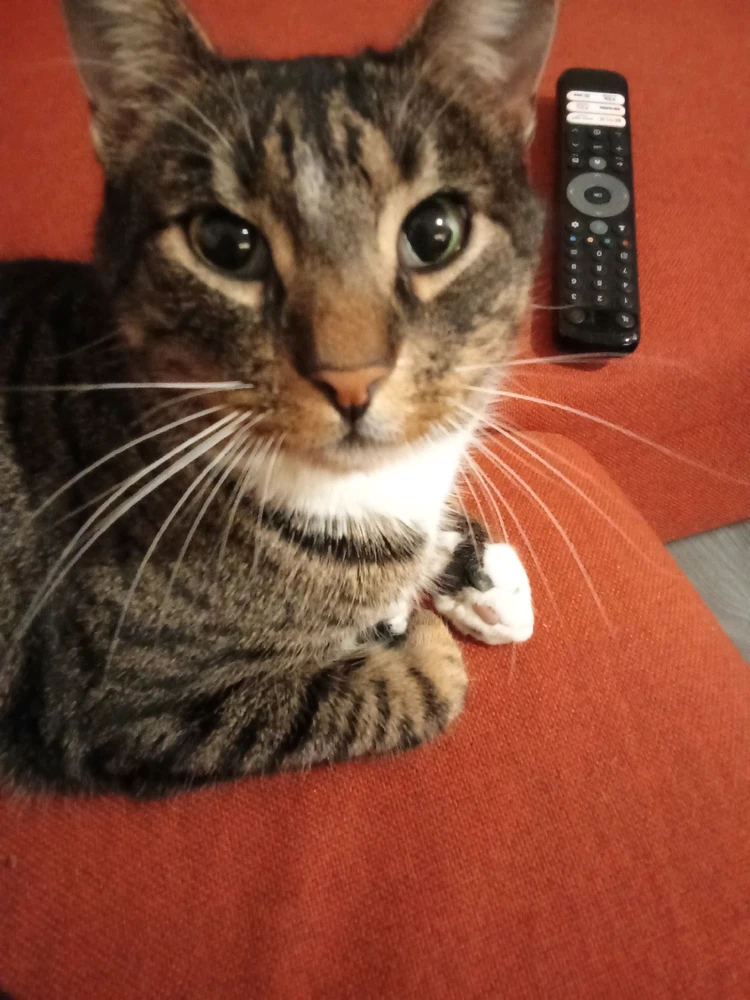 GIF uploaded by Stirba