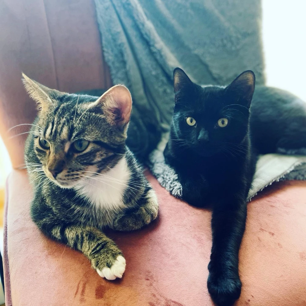 GIF uploaded by Sophie