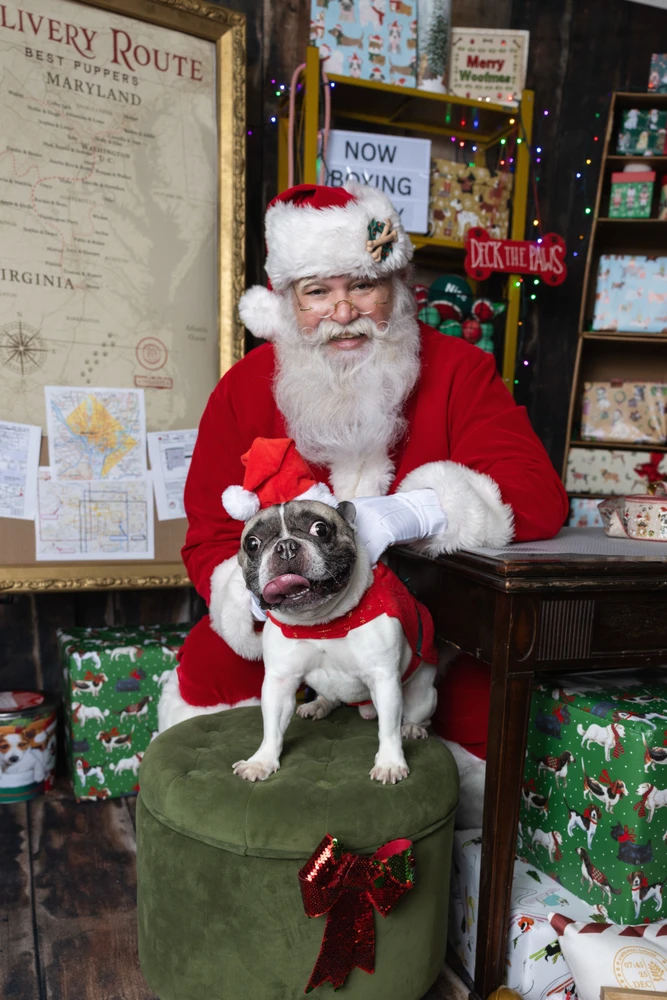 Image uploaded by David