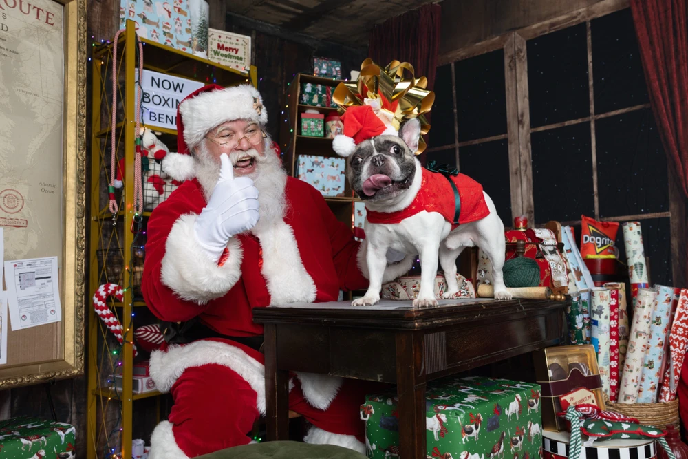 Image uploaded by David