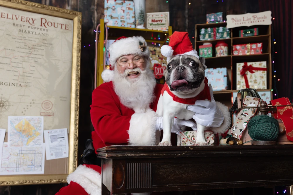 Image uploaded by David