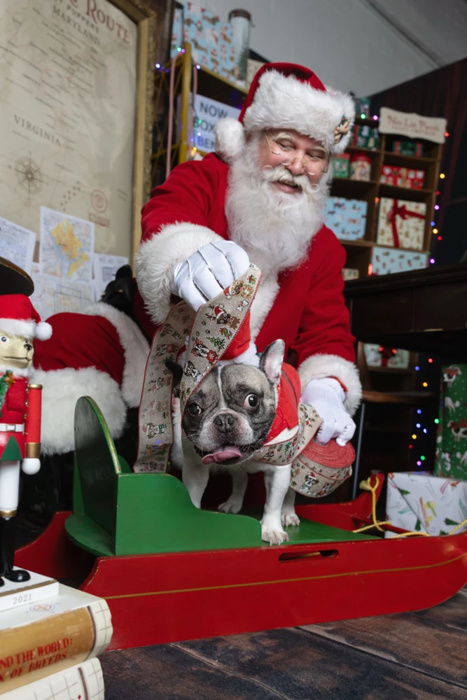 Image uploaded by David