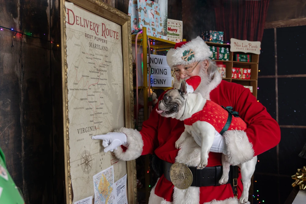 Image uploaded by David