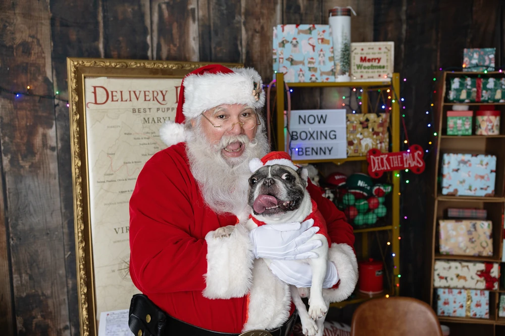 Image uploaded by David