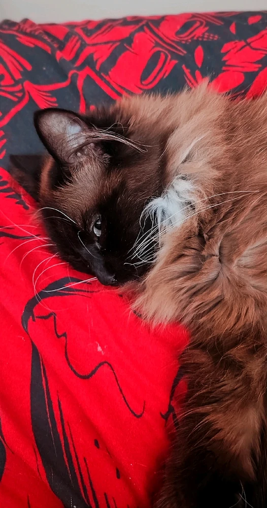 Image uploaded by Andy