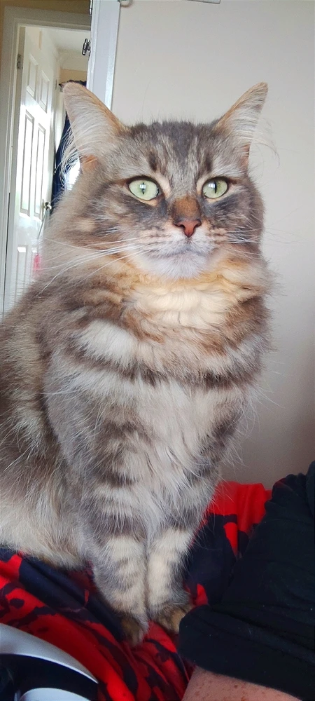 Image uploaded by Andy