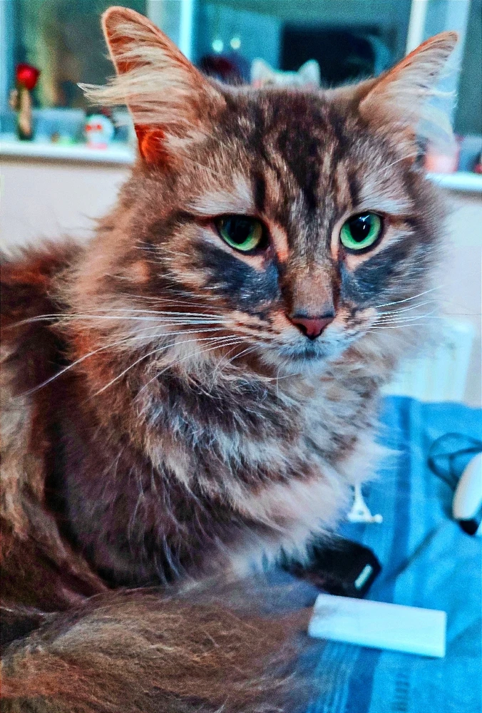 Image uploaded by Andy