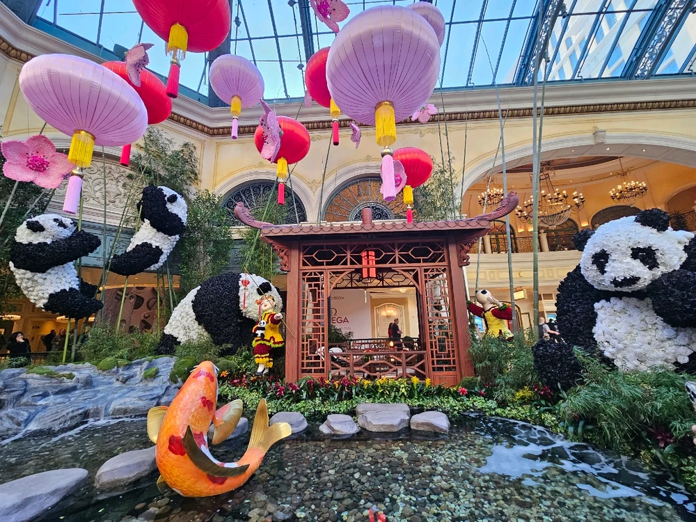 Image uploaded by 𝓔𝓵𝓵𝓲𝓮☁︎