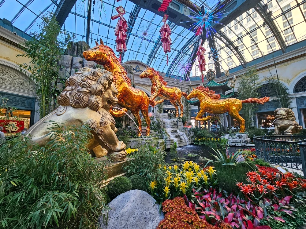 Image uploaded by 𝓔𝓵𝓵𝓲𝓮☁︎