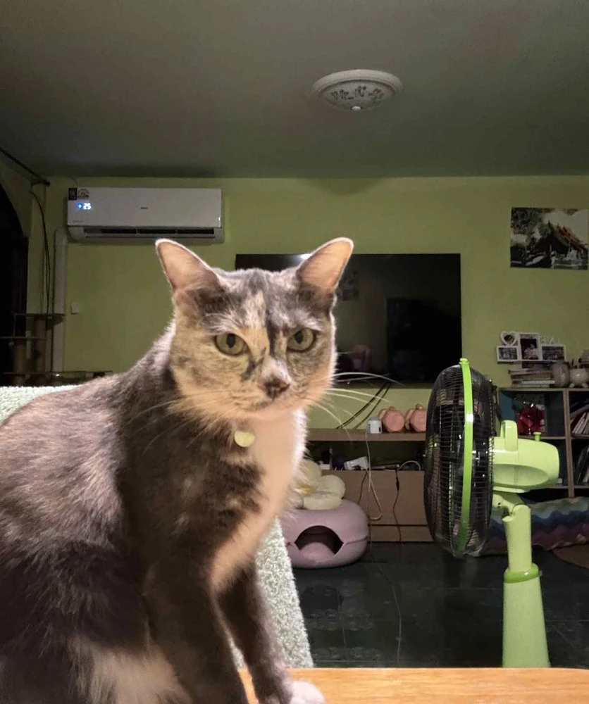 GIF uploaded by Pat♡