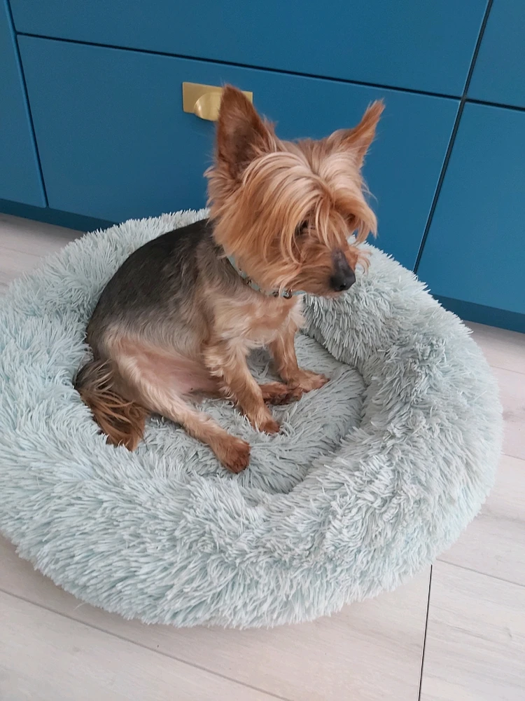 由Waiho上传的图片