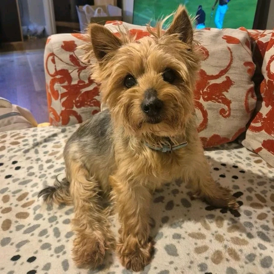 由Waiho上传的图片