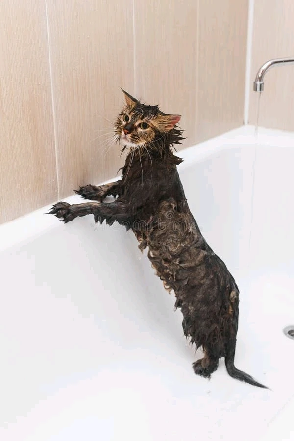 GIF uploaded by DezzieDee