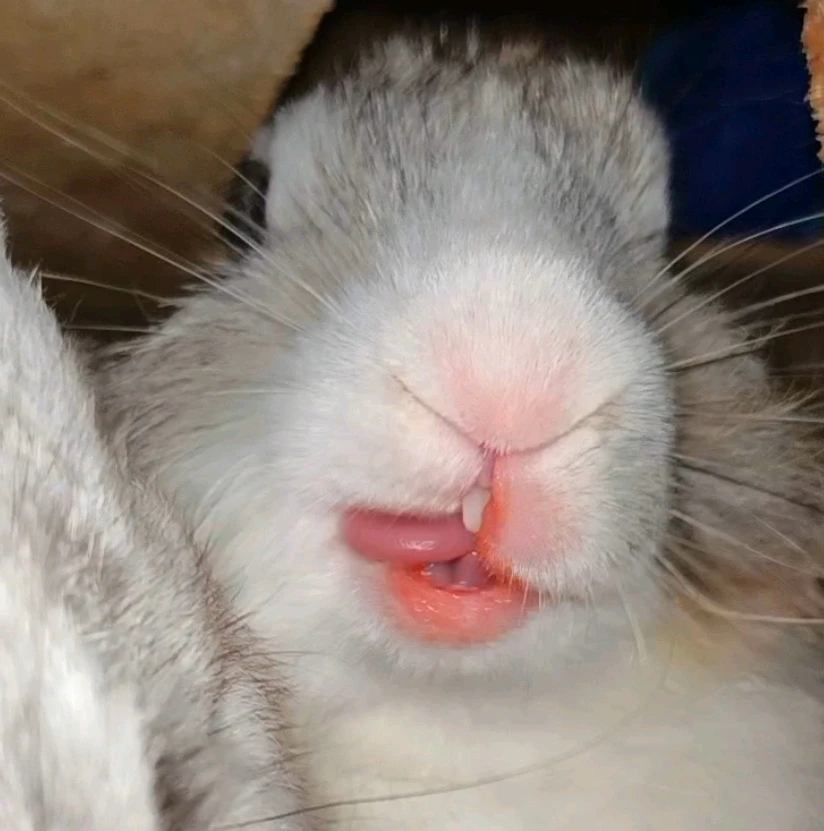 GIF uploaded by shortgirl