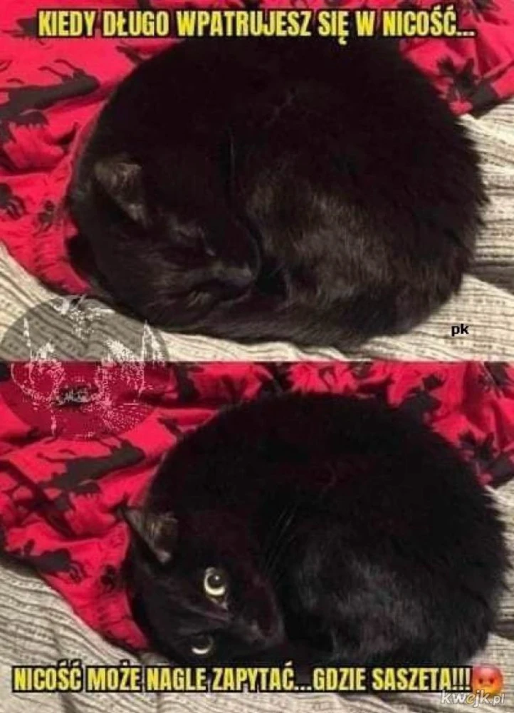 GIF dodany przez agni