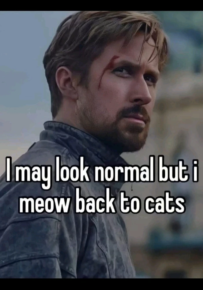 GIF uploaded by Dona 🦝👻🦝