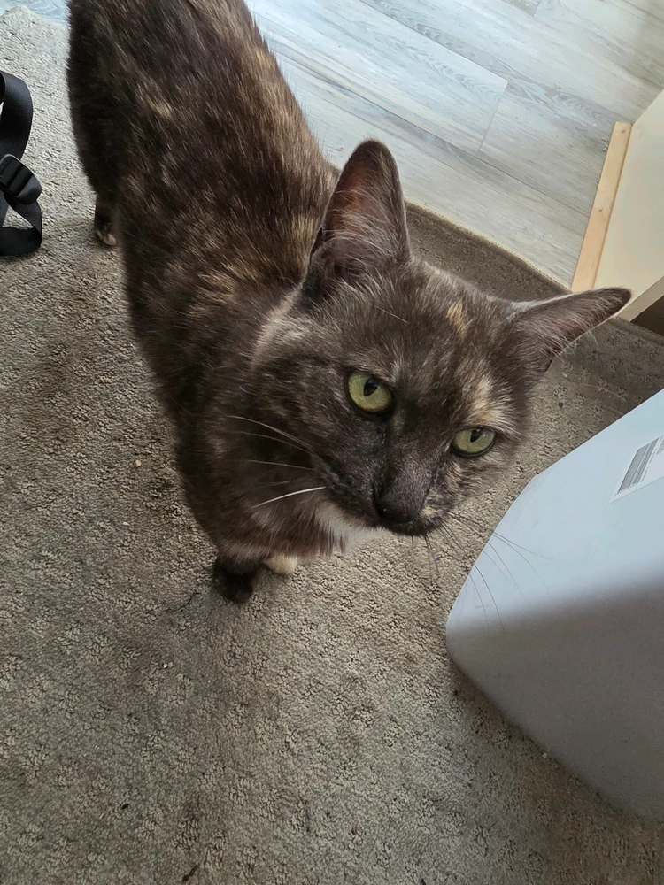 GIF uploaded by Adam