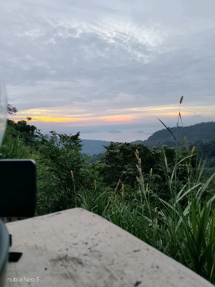 Not leaving until the sun hits my face. 