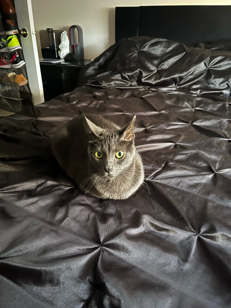 Image uploaded by Mauro