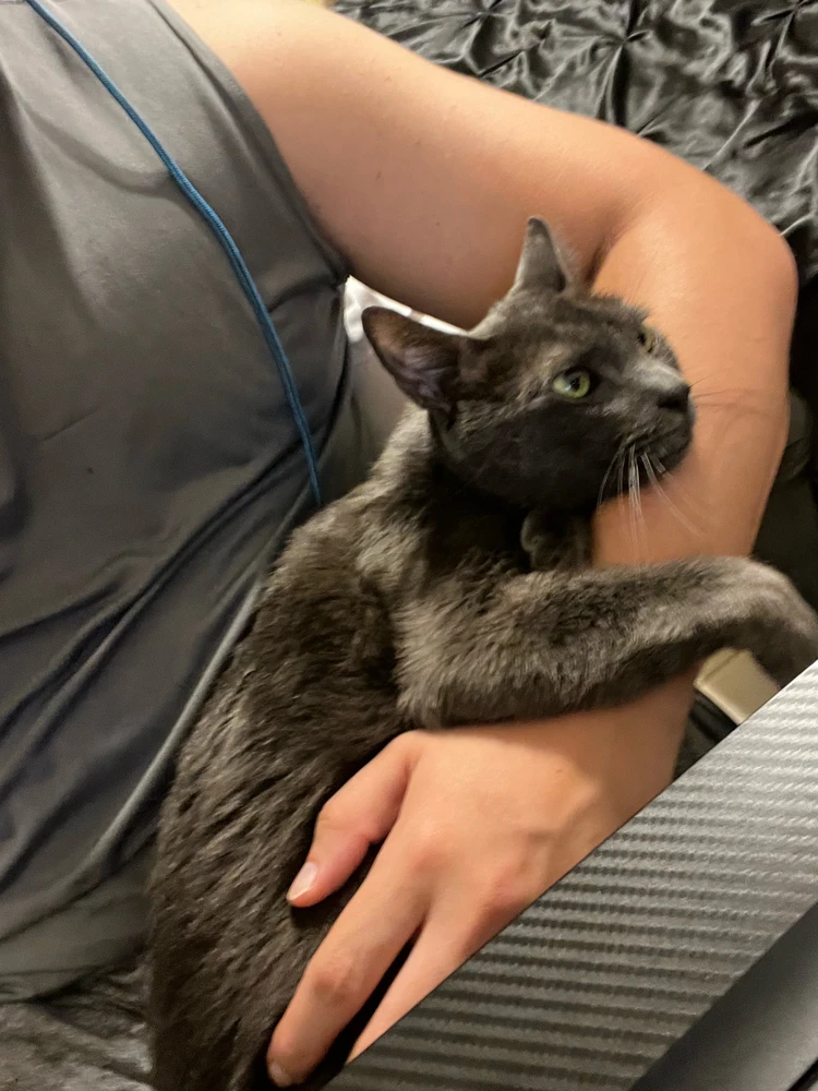 Image uploaded by Mauro