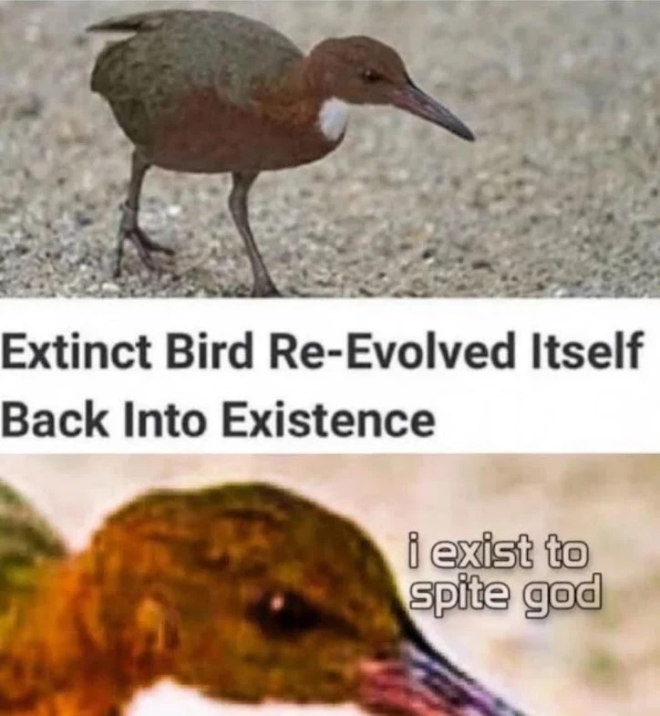 Image uploaded by Stephen