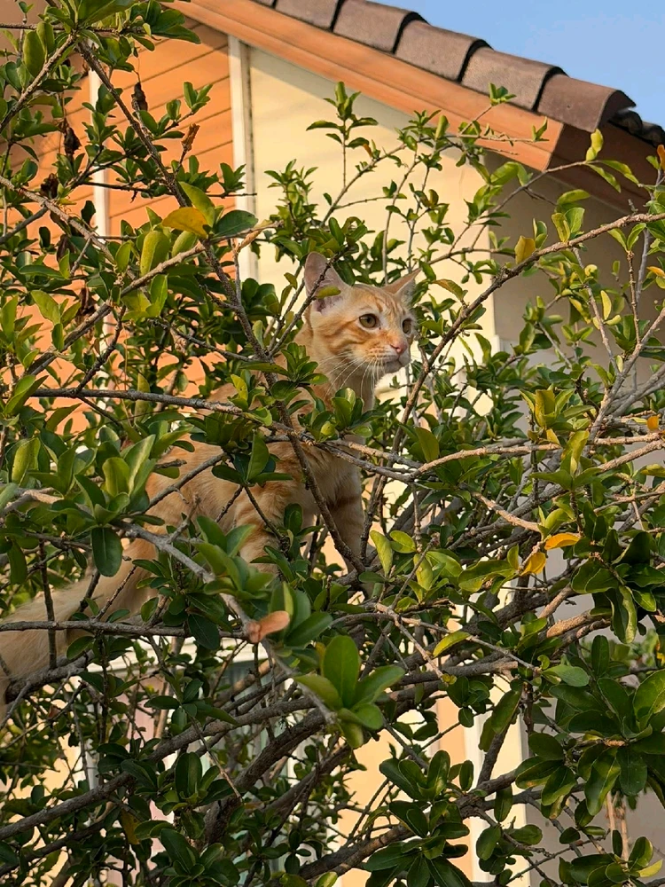 GIF uploaded by Jellyfish