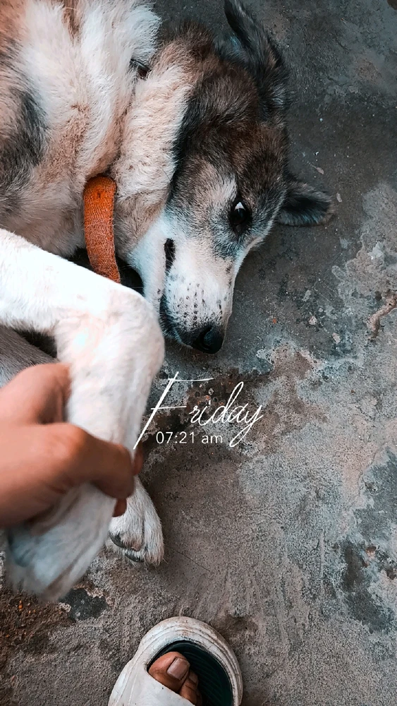 GIF uploaded by Ahsan