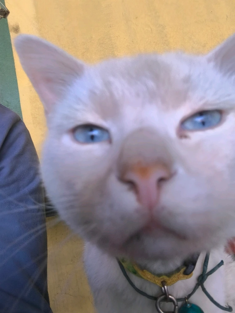 GIF uploaded by Gandharva