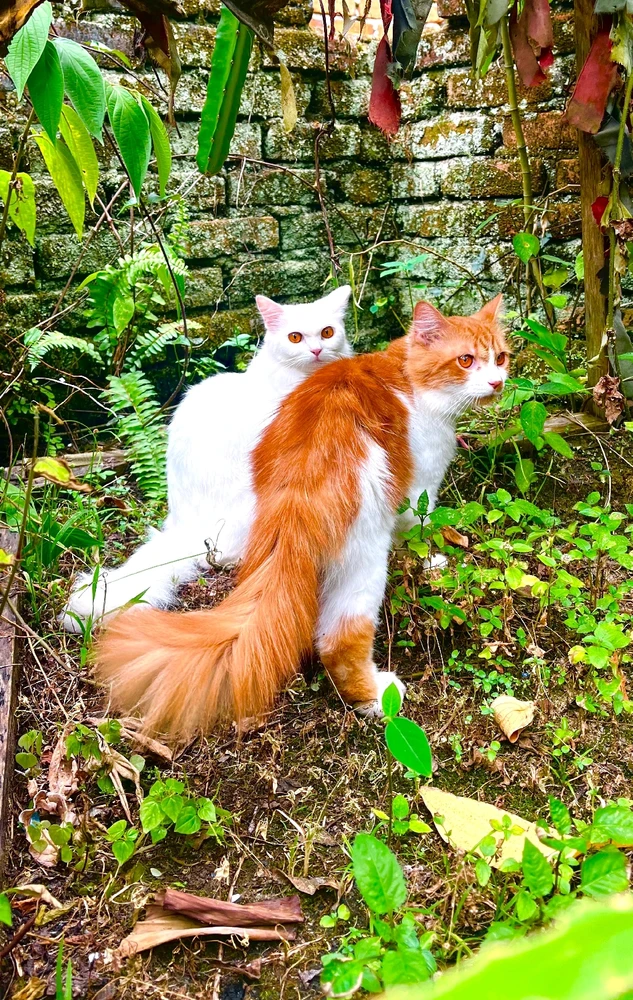 GIF uploaded by Leah