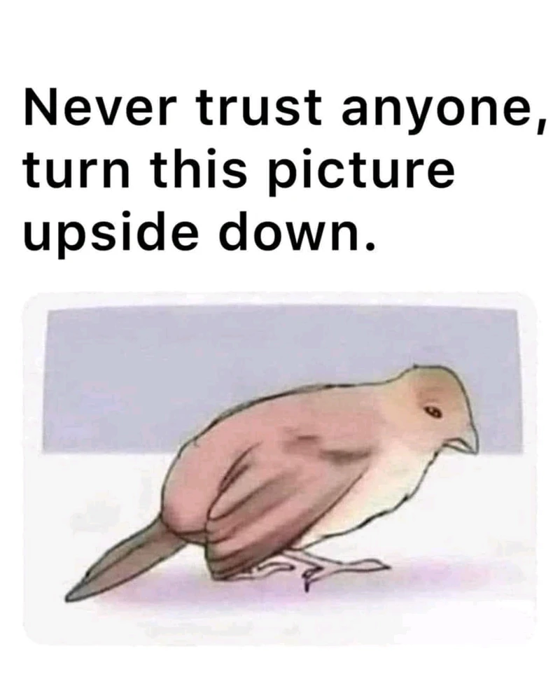 GIF dodany przez Patka