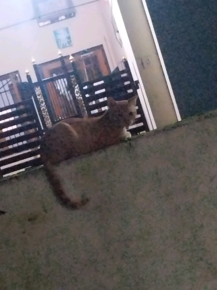 GIF uploaded by Akash