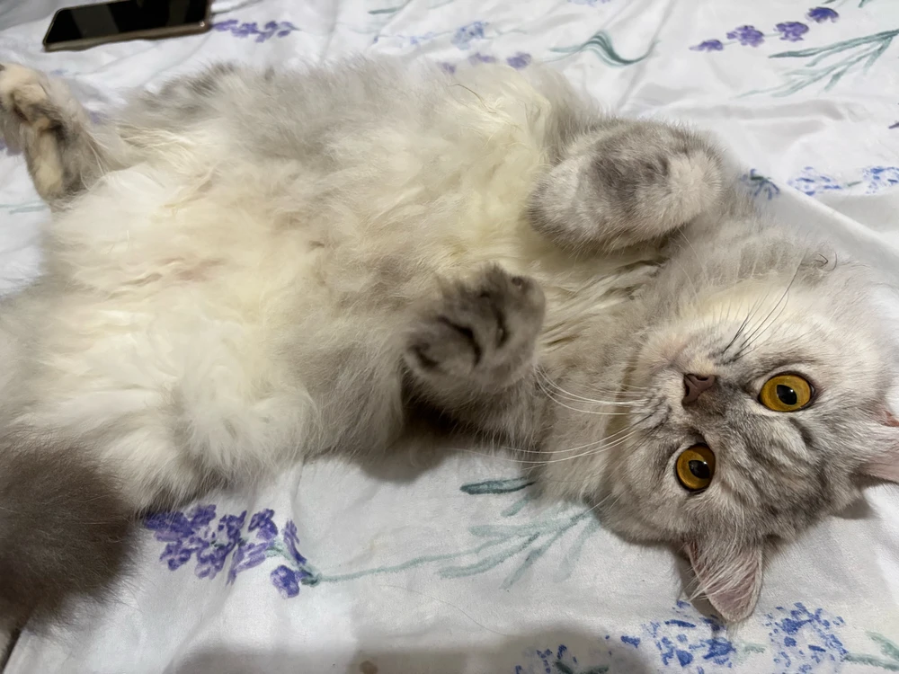 GIF uploaded by Nathalie