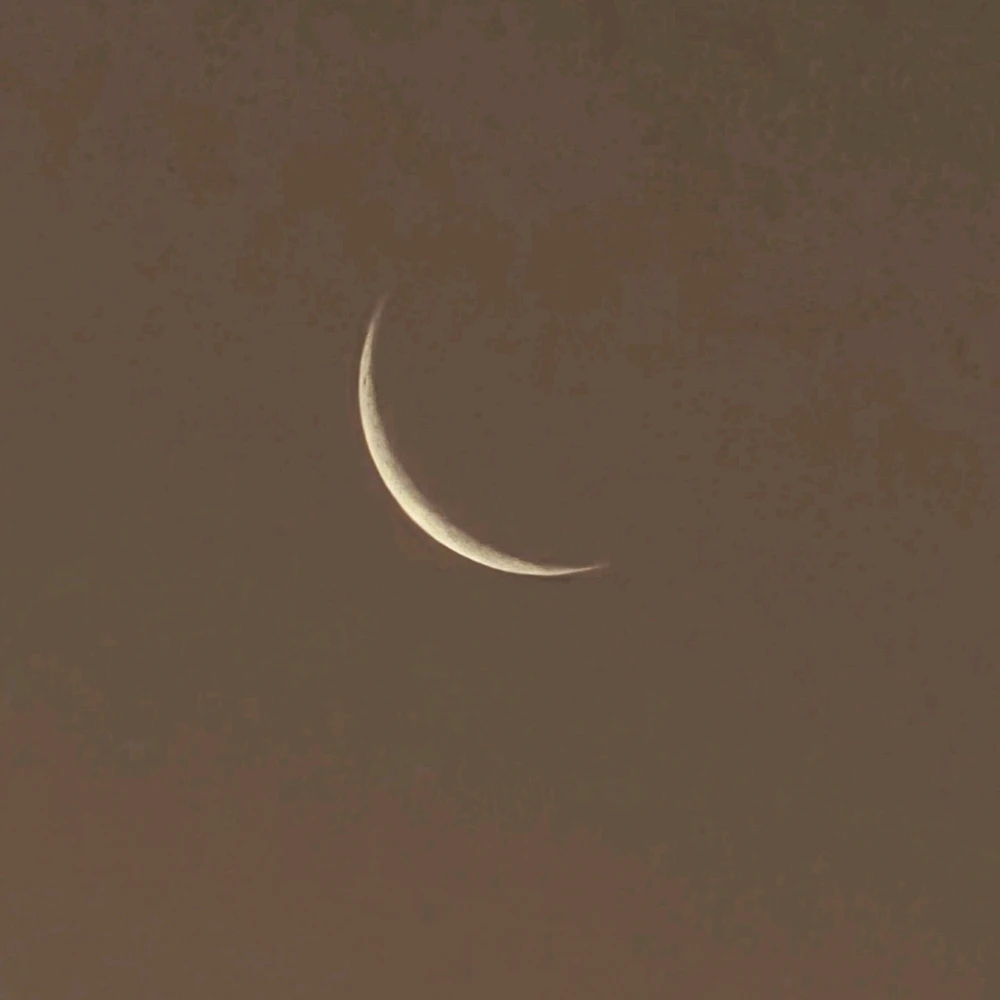 Image uploaded by Gheng