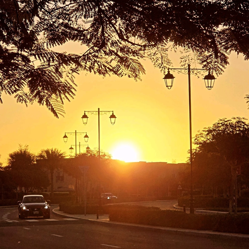 Image uploaded by Gheng