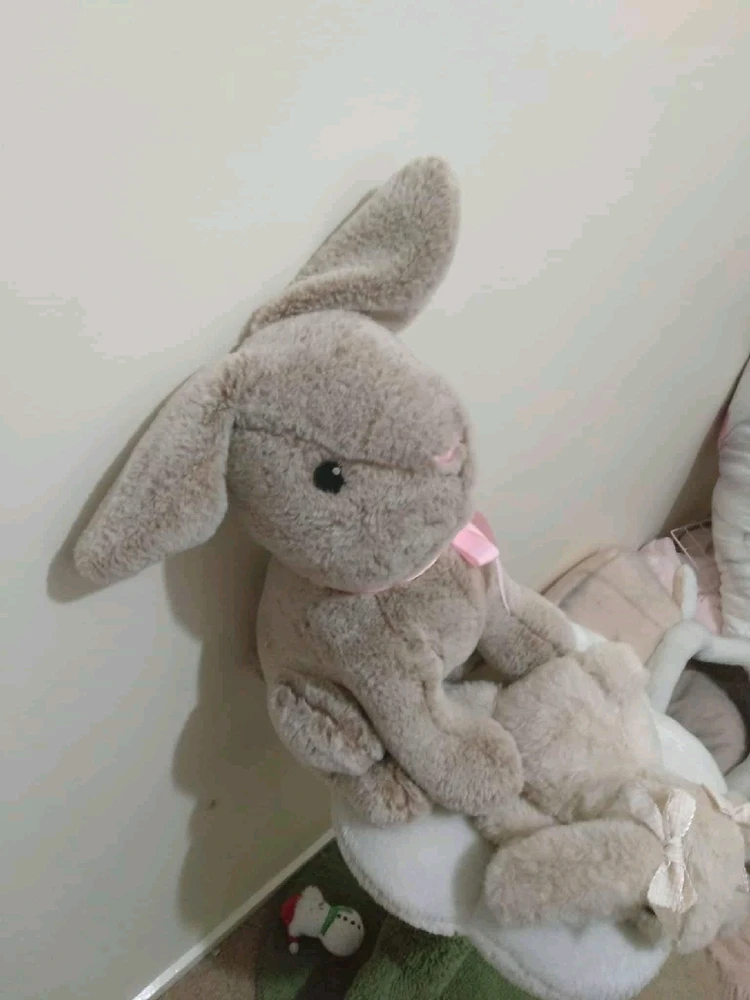 Image uploaded by Buneé(ノ◕ヮ◕)ノ*:・゚