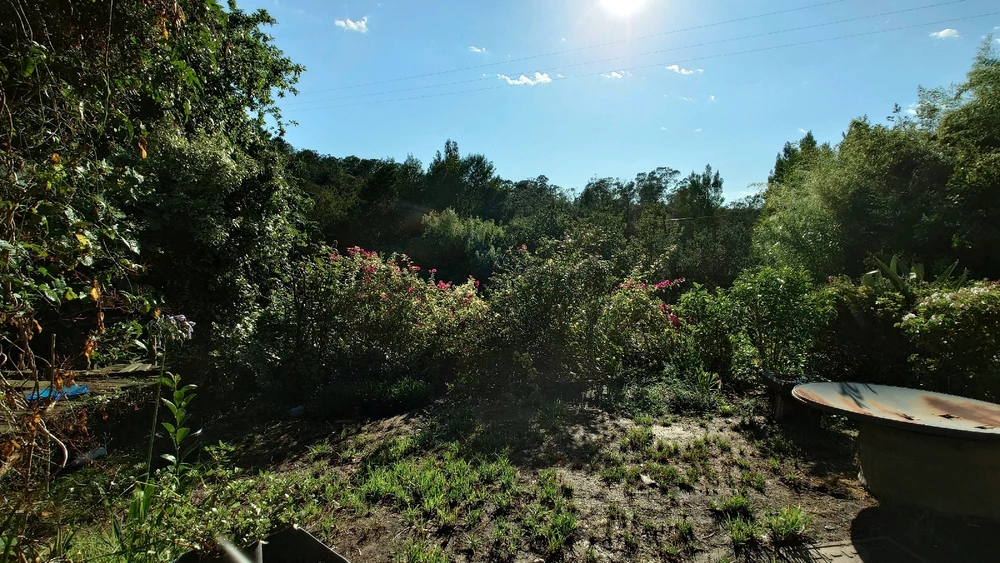 GIF uploaded by CheffieGR