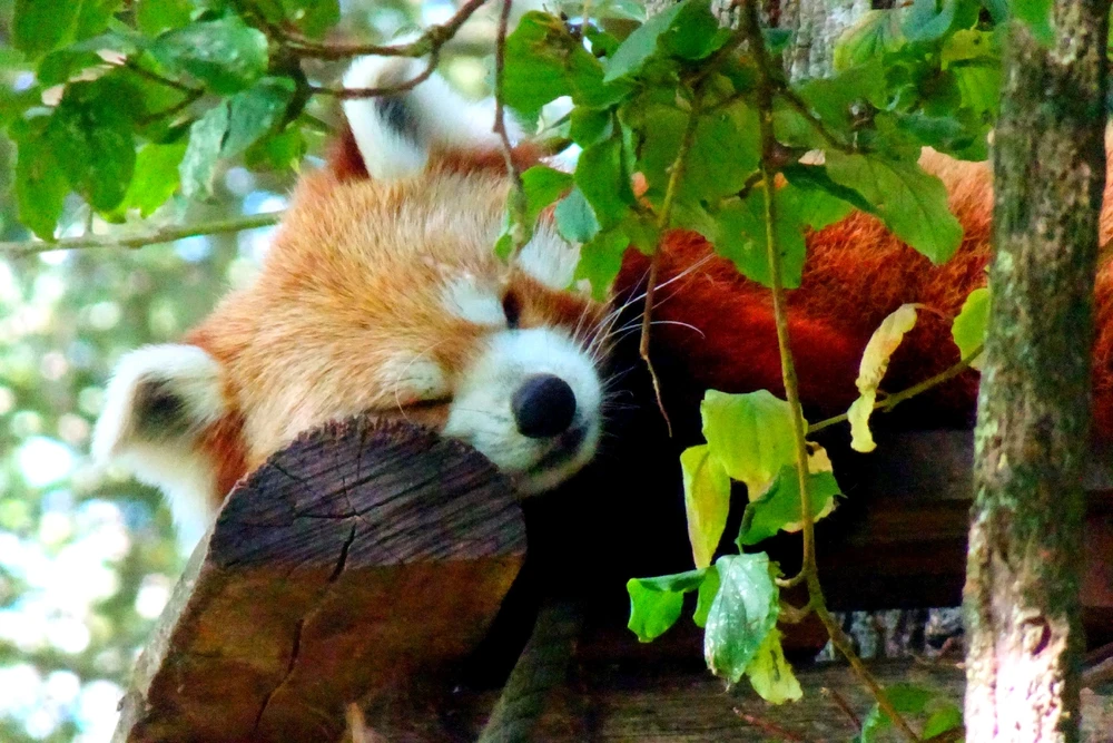 GIF ajouté par Playerone76