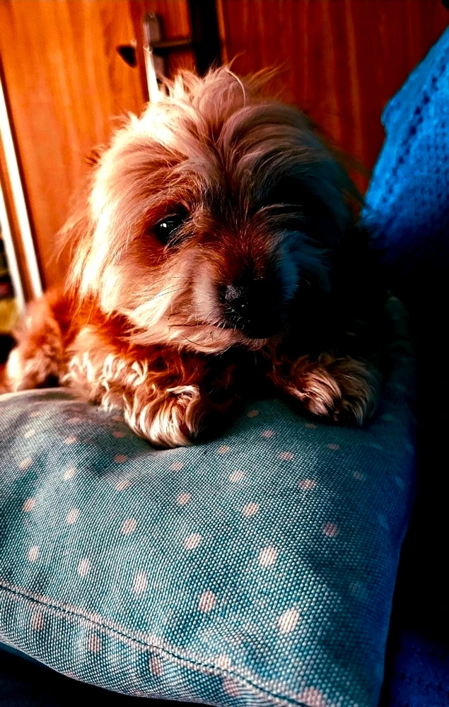 GIF dodany przez Dawid