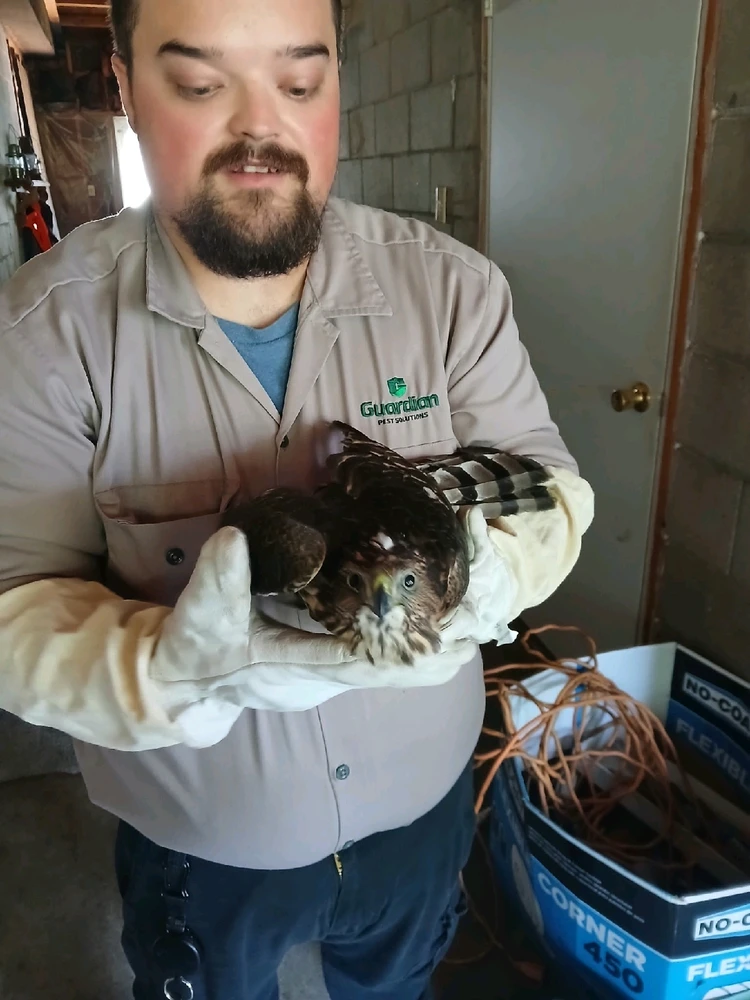 Image uploaded by Mac