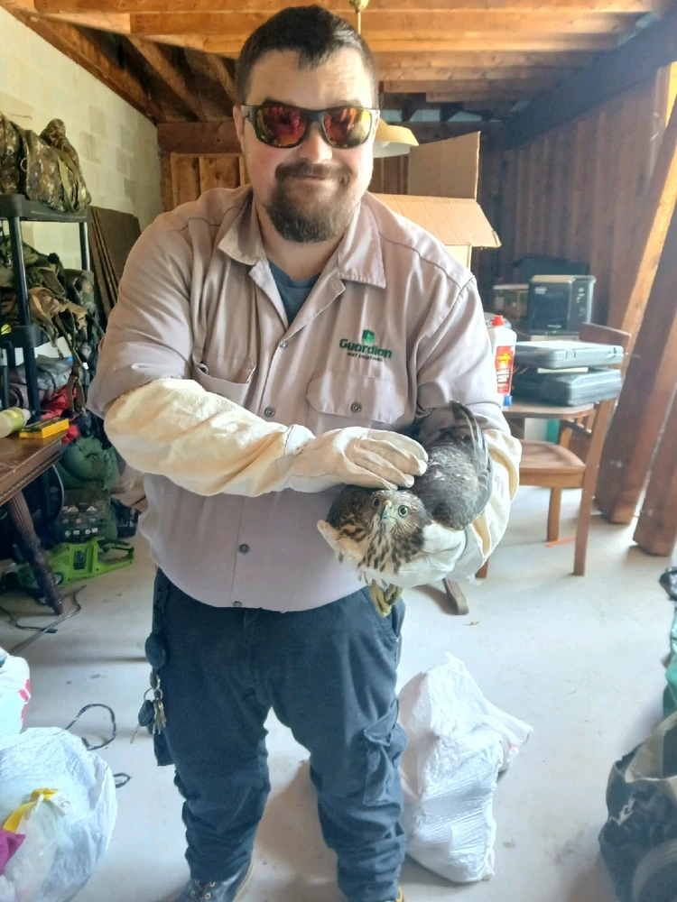 Image uploaded by Mac