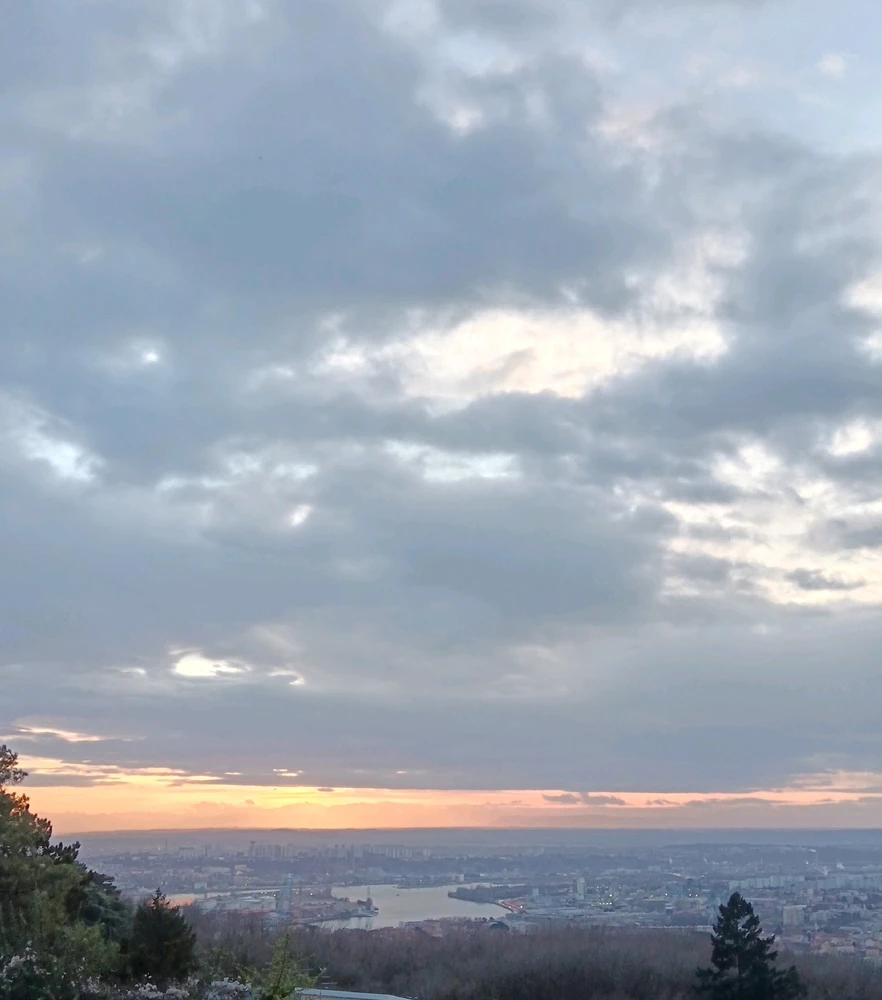 Image ajoutée par Saffiya