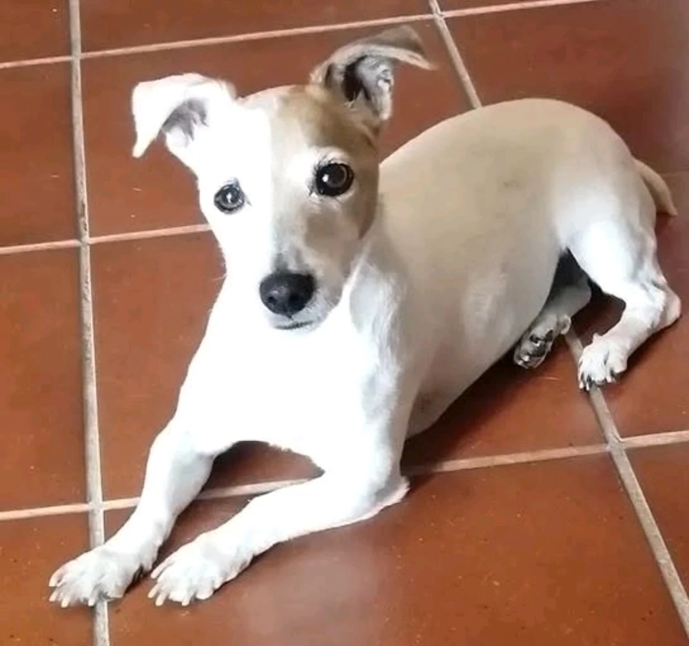 GIF caricata da Christian