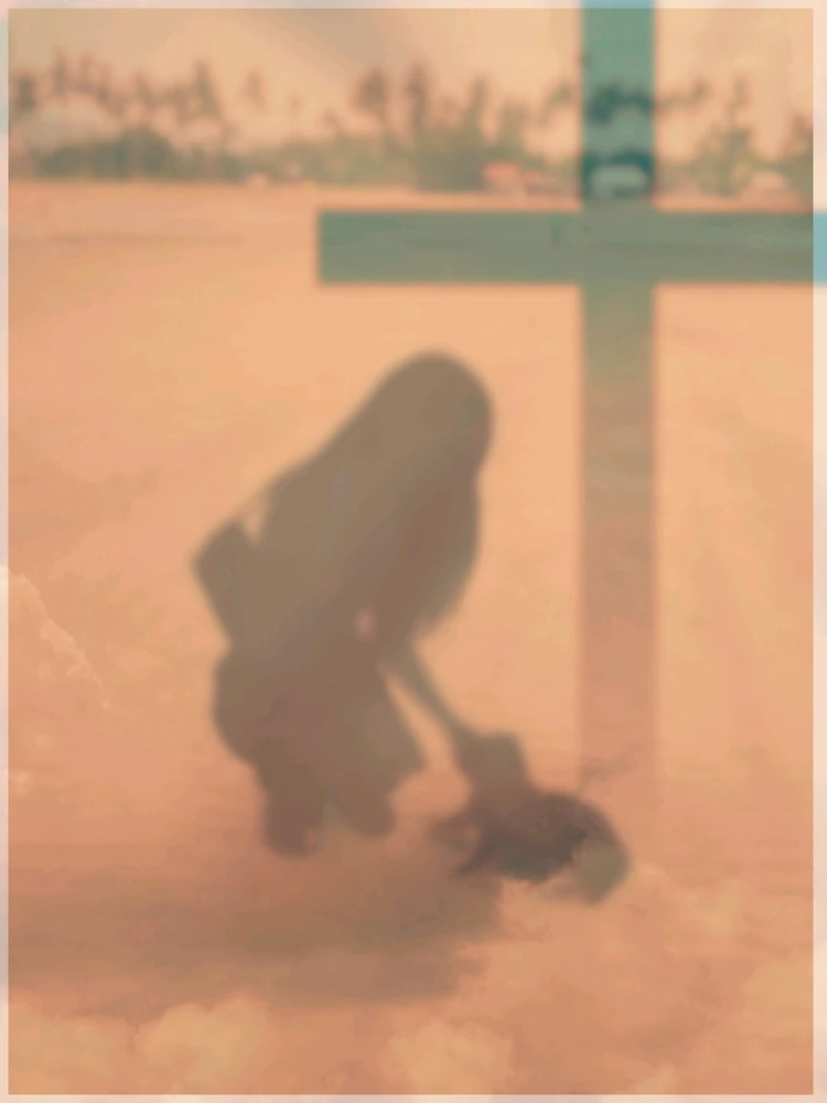 GIF uploaded by Stephen P.