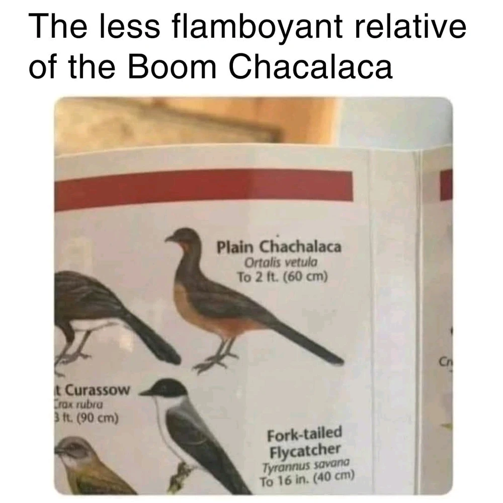 GIF uploaded by Kandace