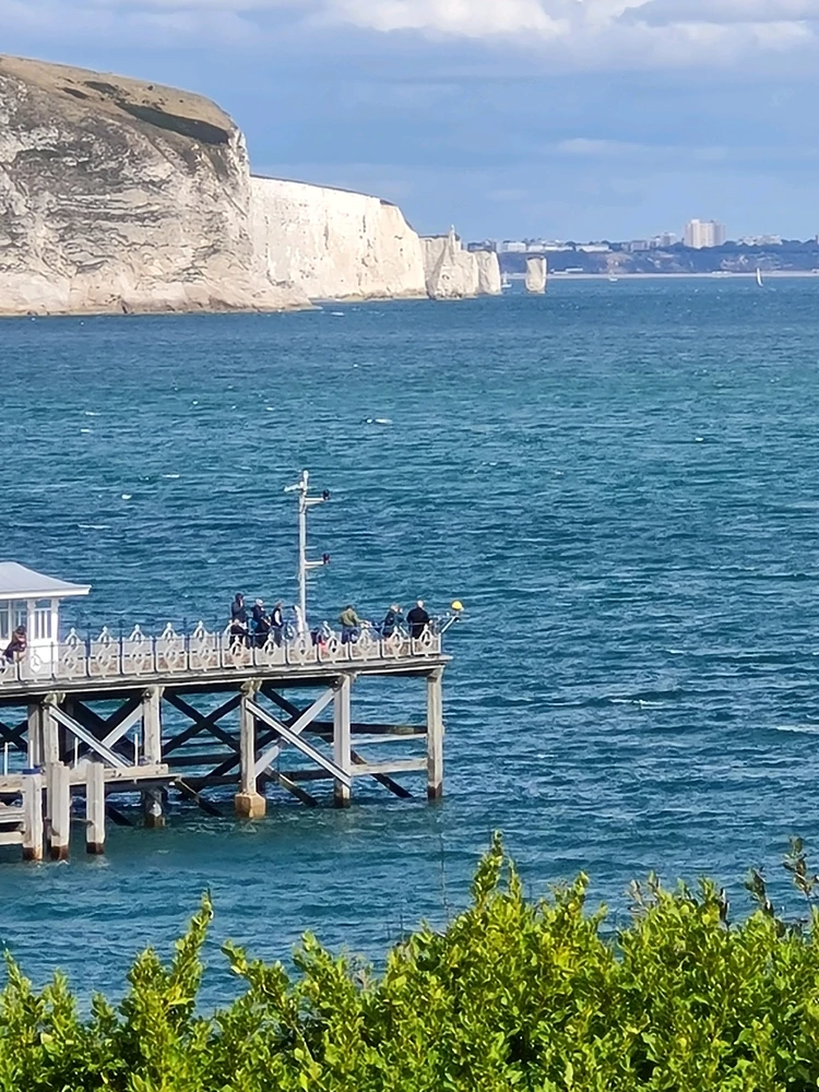 Image uploaded by Sharon