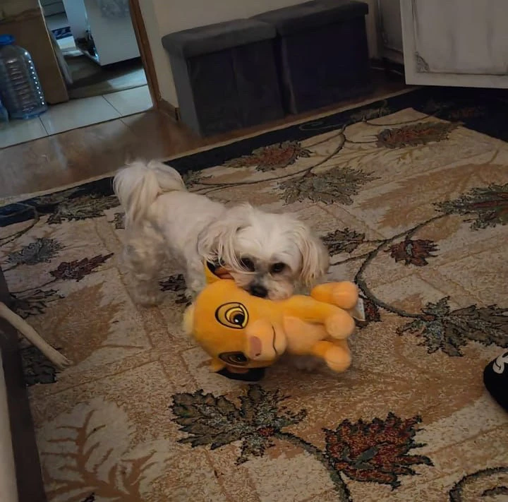 GIF uploaded by Alicia