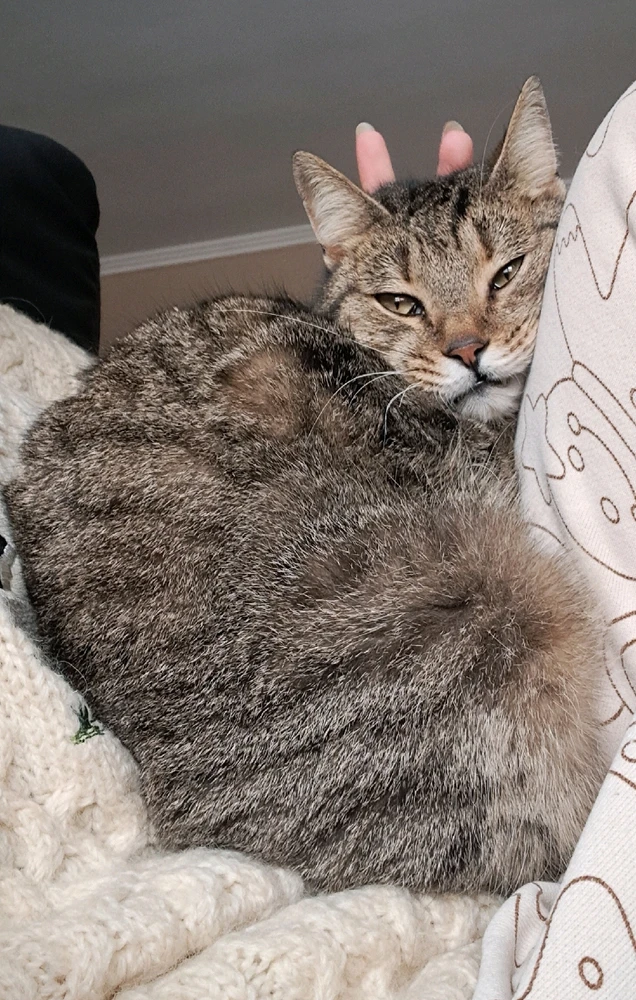 Гіфку завантажив Viktoriia